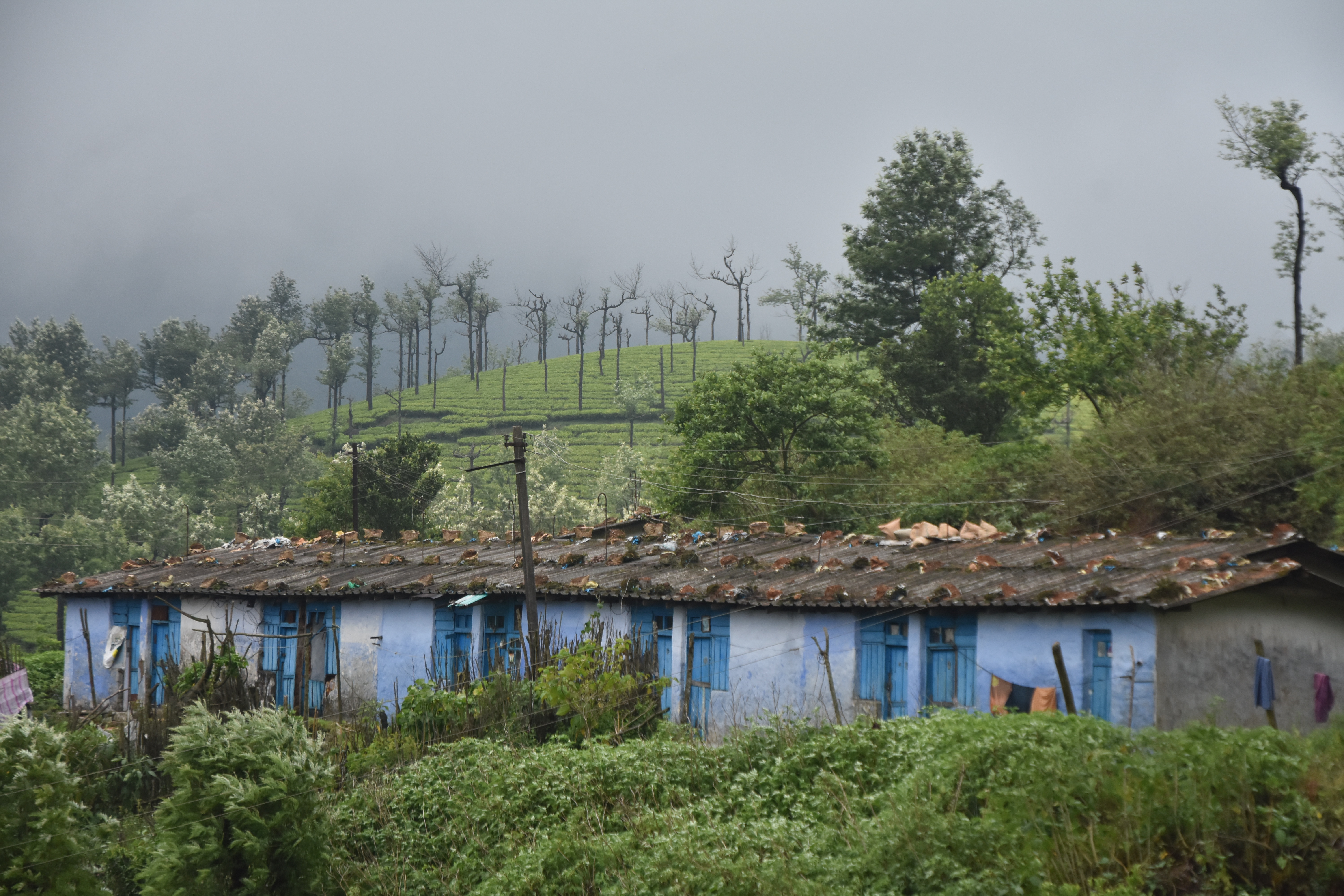 heavy-rainfall-alert